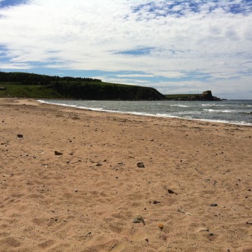 Margaree Harbour and an Enlightened Idea